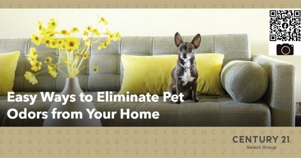 Easy Ways to Eliminate Pet Odors from Your Home