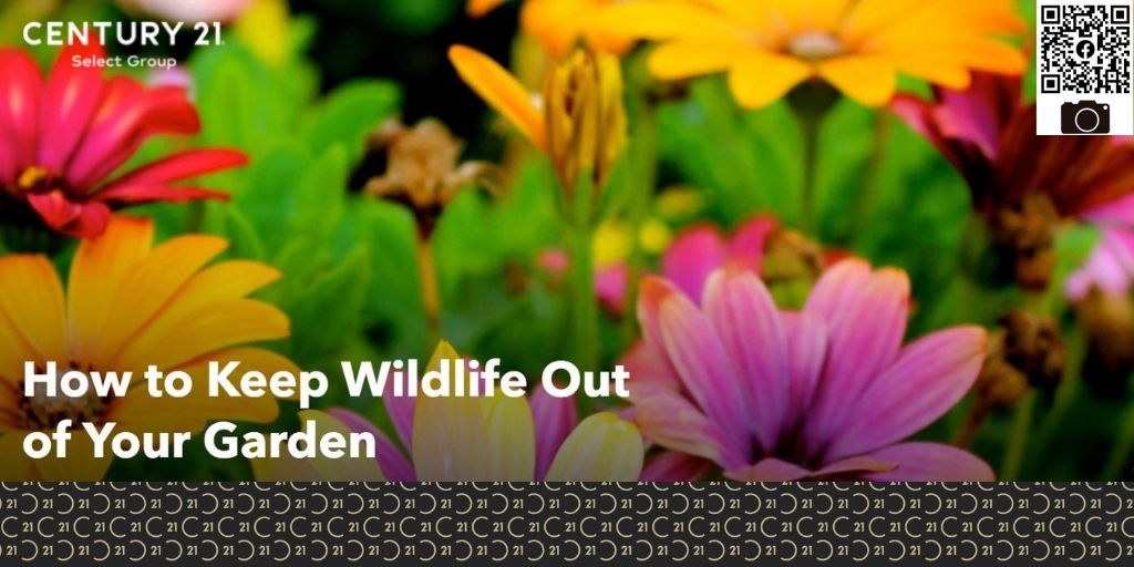 How to Keep Wildlife Out of Your Garden
