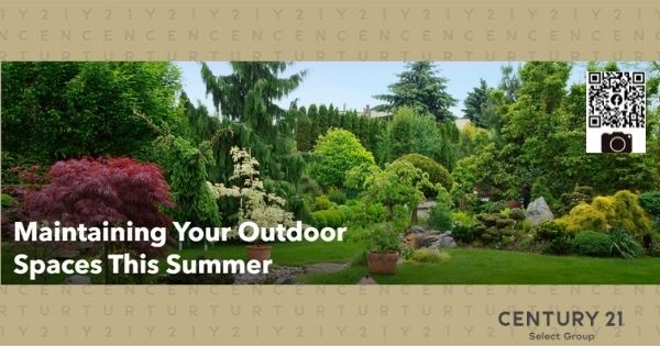 Maintaining Your Outdoor Spaces This Summer