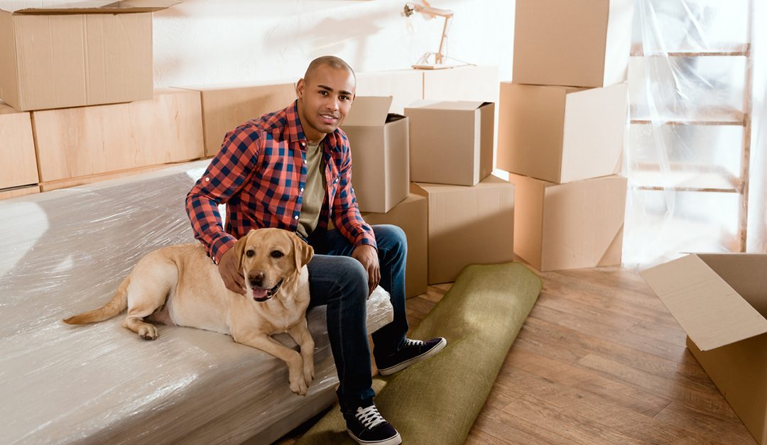 Moving With Pets? These Tips Can Help