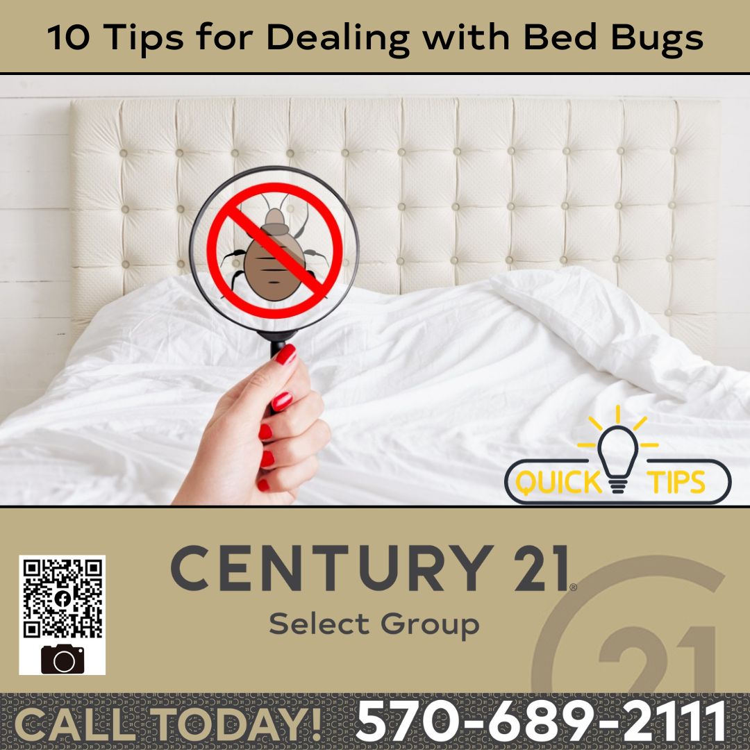 10 Tips for Dealing with Bed Bugs