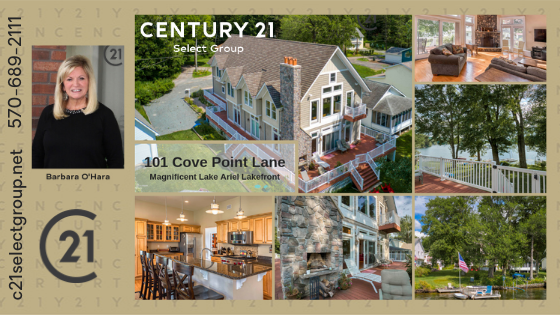 101 Cove Point Lane: Magnificent LAKEFRONT on Lake Ariel!