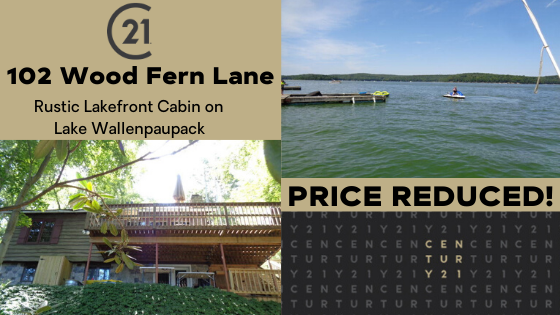 NEW REDUCED PRICE! 102 Wood Fern Lane: Rustic Lakefront Cabin on Lake Wallenpaupack