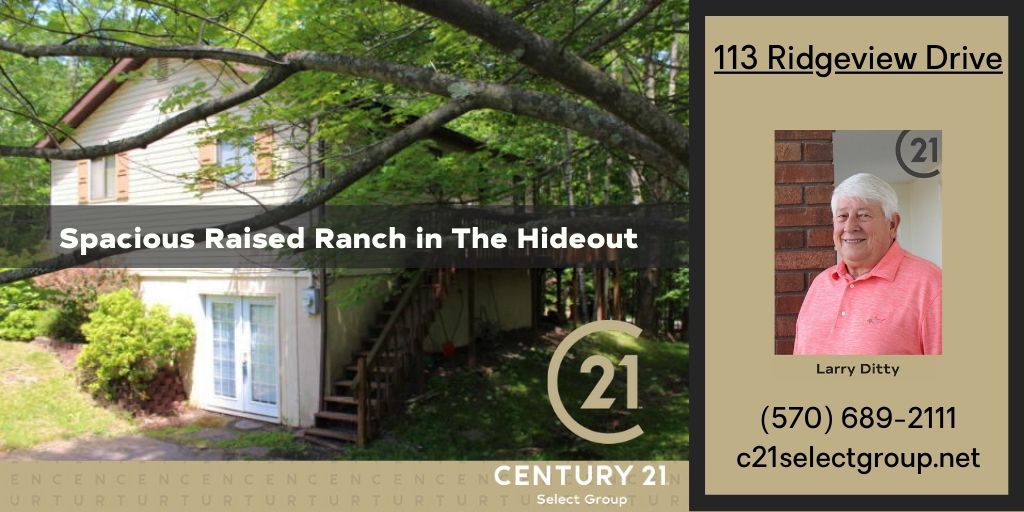 113 Ridgeview Drive: Spacious Raised Ranch in The Hideout