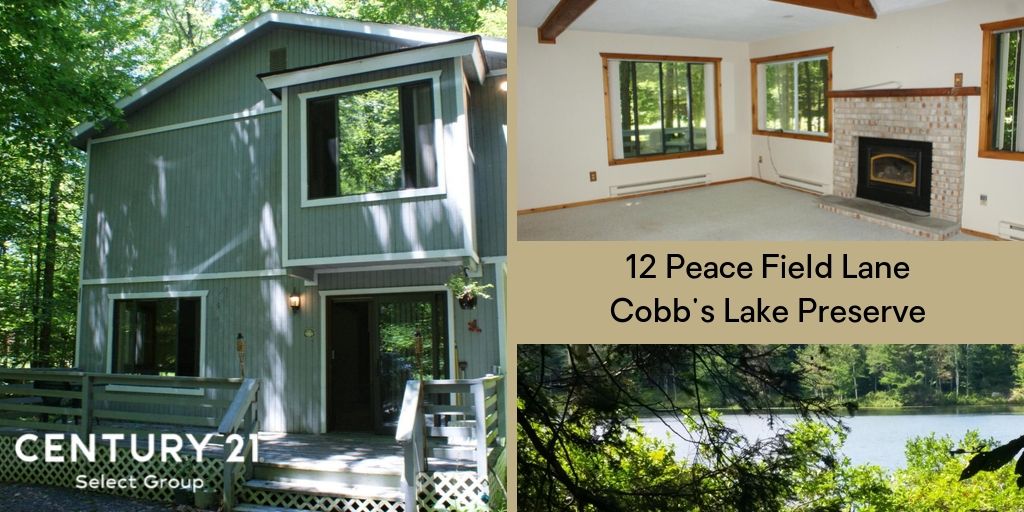 12 Peace Field Lane: Cobb's Lake Preserve Contemporary