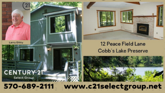 12 Peace Field Lane: Cobb's Lake Contemporary Home