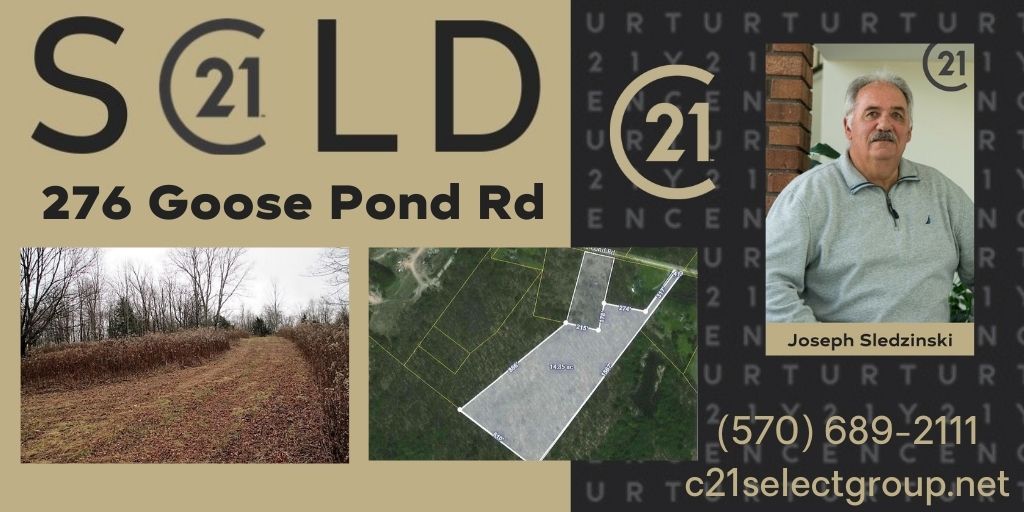 SOLD! 276 Goose Pond Road: Lake Ariel