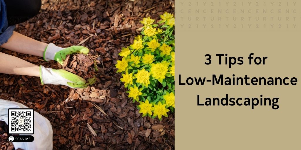 3 Tips for Low-Maintenance Landscaping