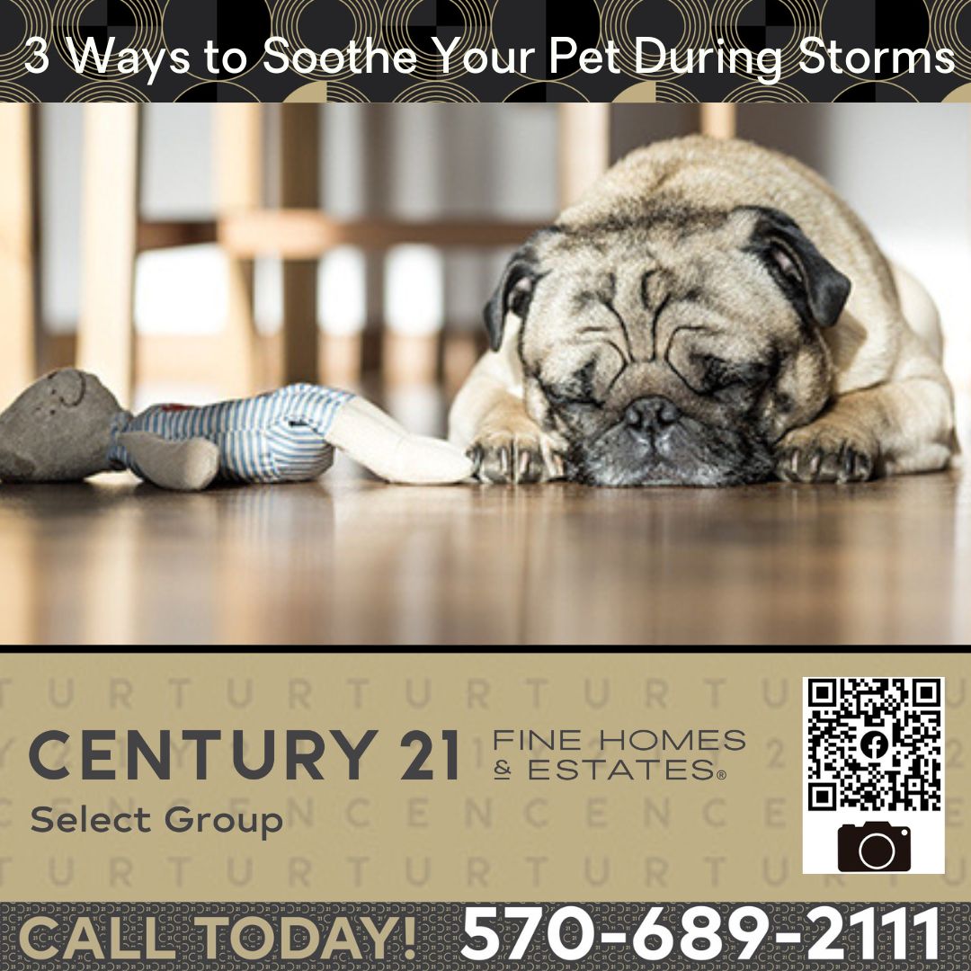 Three Ways to Soothe Your Pet During Storms