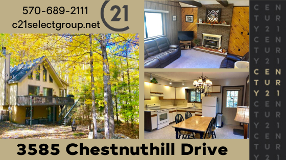 3585 Chestnuthill Drive: Four Season Chalet in Hideout Community
