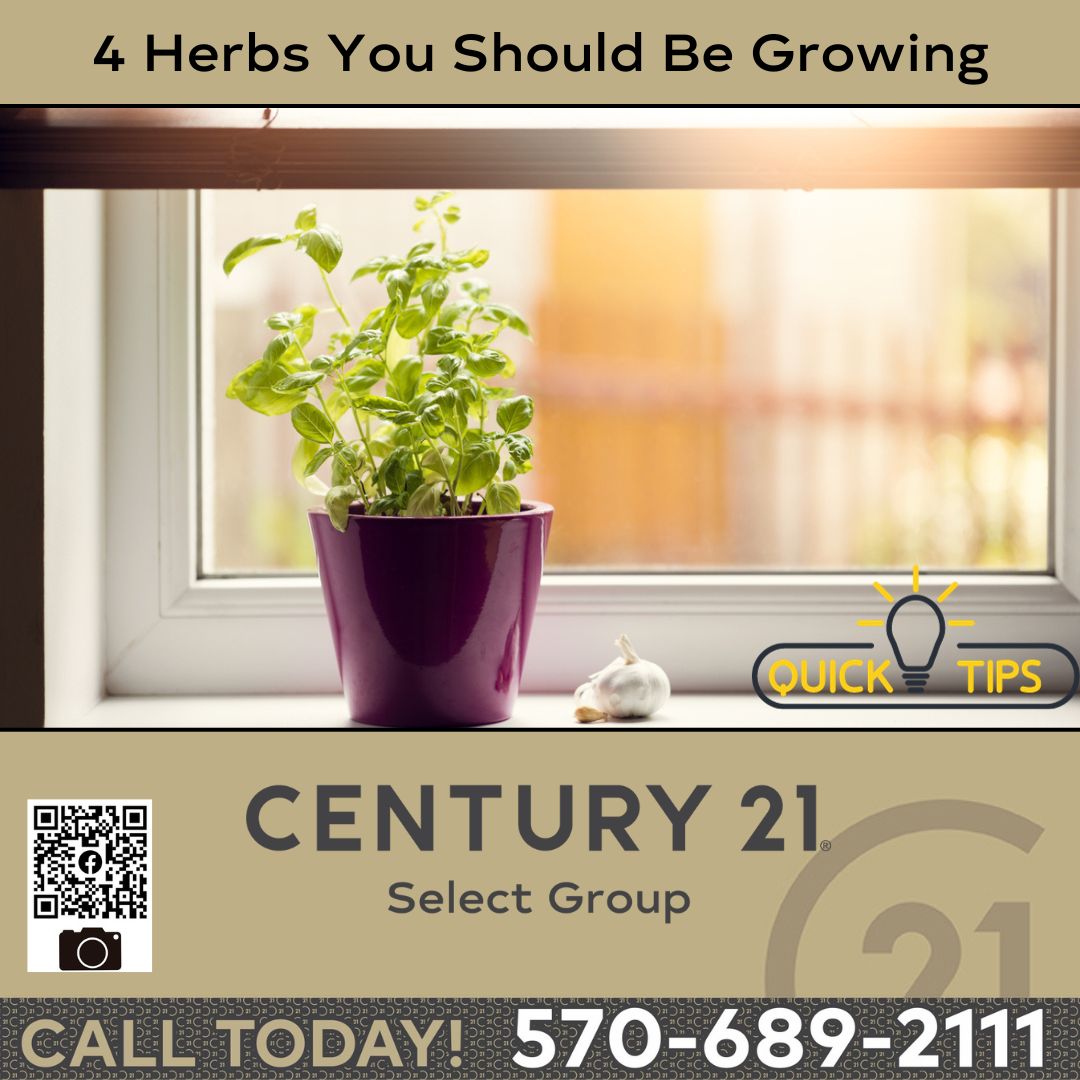 4%20Herbs%20You%20Should%20Be%20Growing%20in%20Your%20Kitchen%281%29.jpg