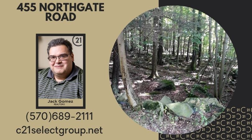 455 Northgate Road: Level, Wooded Hideout Lot