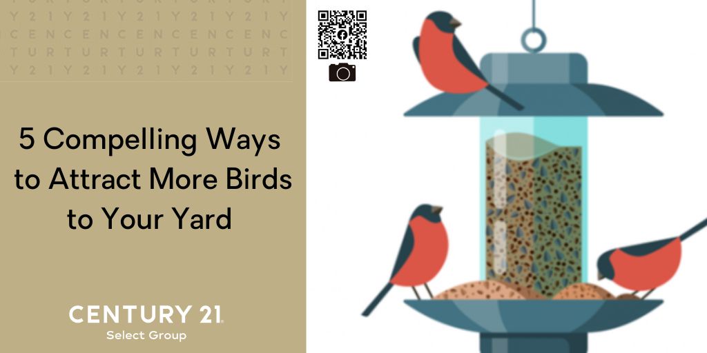 5 Compelling Ways to Attract More Birds to Your Yard