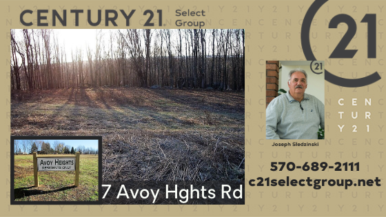 7 Avoy Hghts Road: Private Building Lot Close to Lake Wallenpaupack