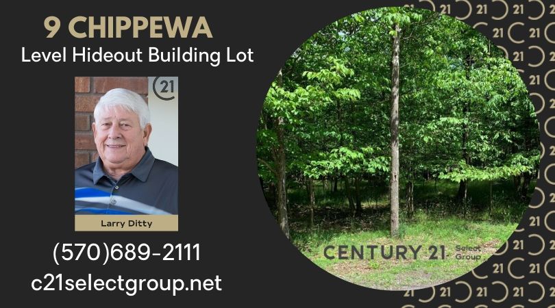 9 Chippewa Court: Hideout Level Building Lot