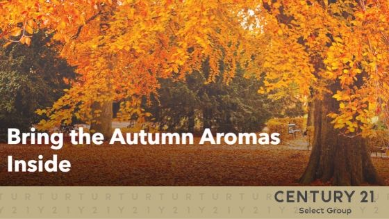 Bring the Autumn Aromas Inside