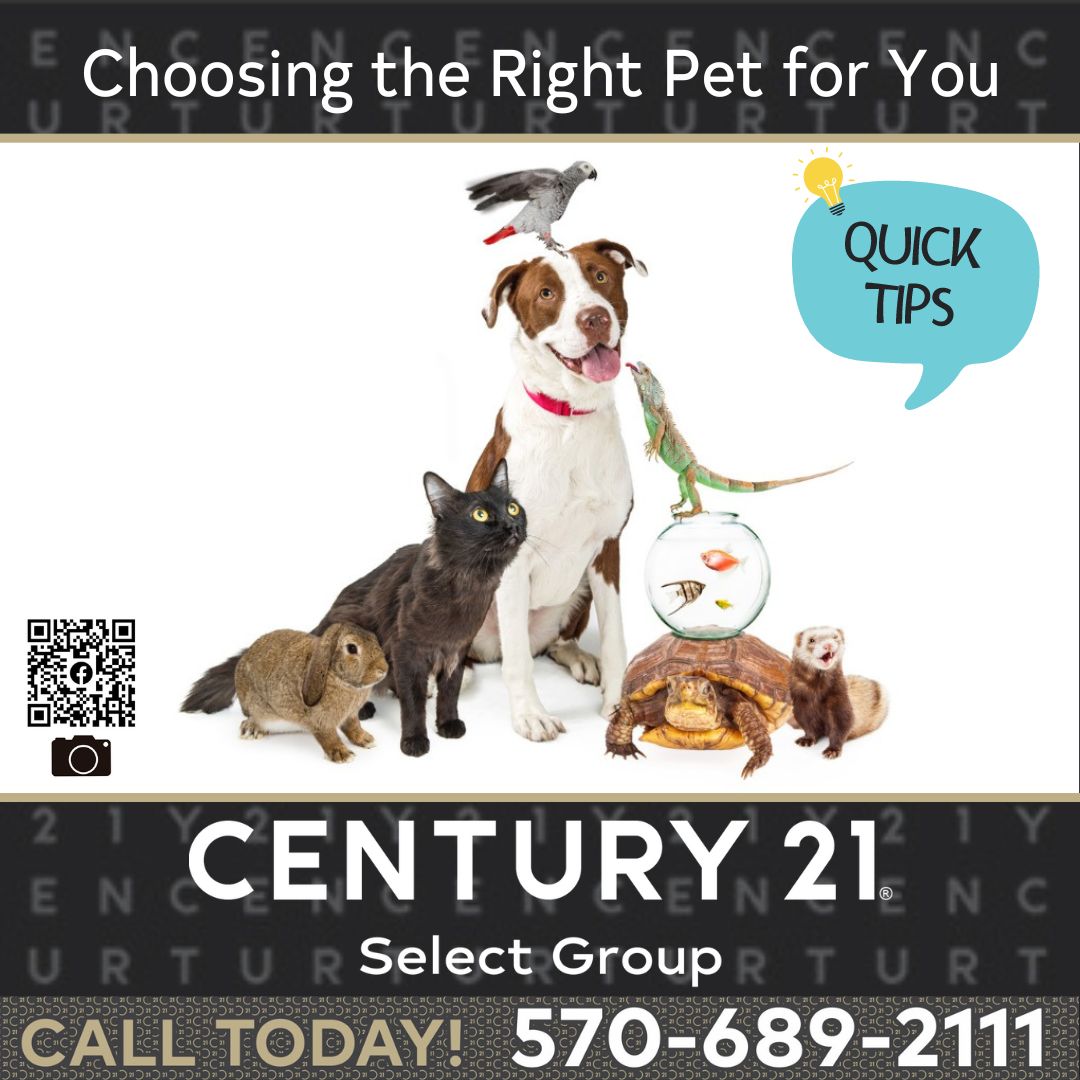Choosing the Right Pet for You