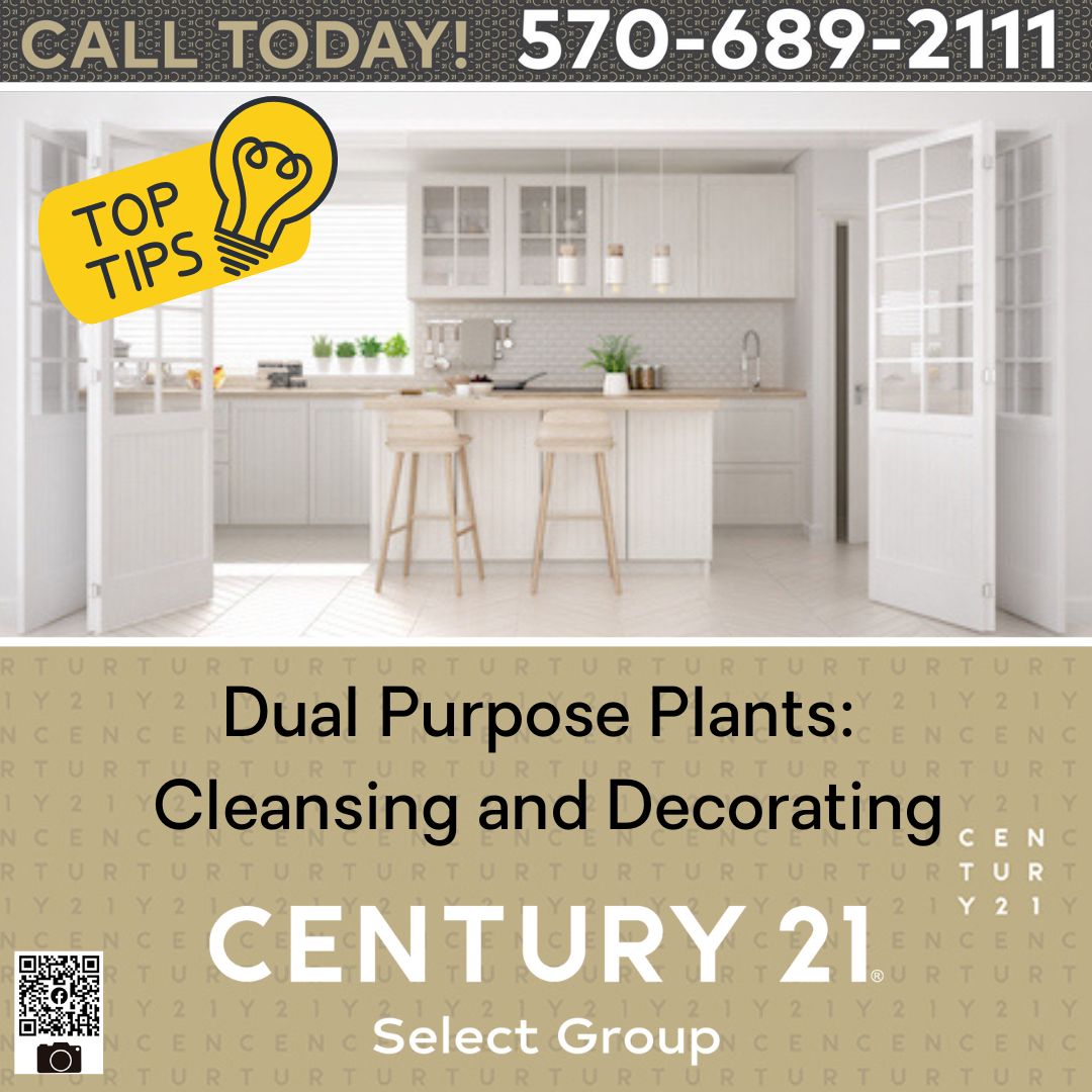 Dual Purpose Plants: Cleansing and Decorating