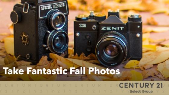 Take Fantastic Fall Photos