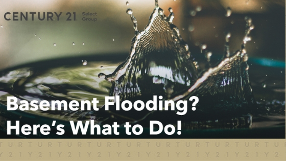 Flooded Basement? Here’s What to Do!
