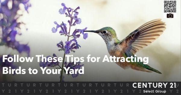 Follow These Tips for Attracting Birds to Your Yard
