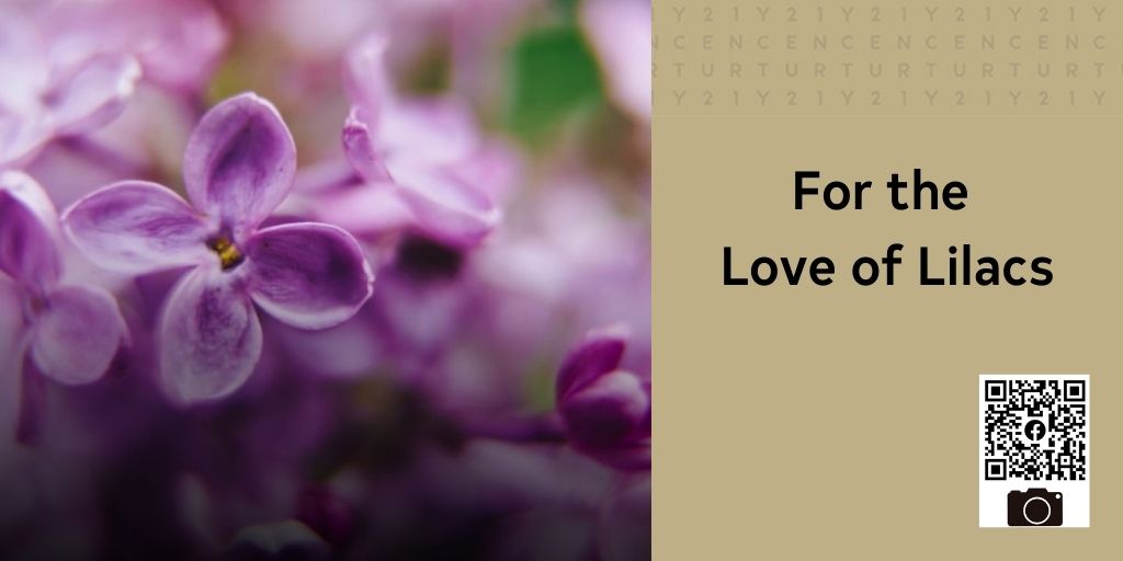 For%20the%20Love%20of%20Lilacs%281%29.jpg
