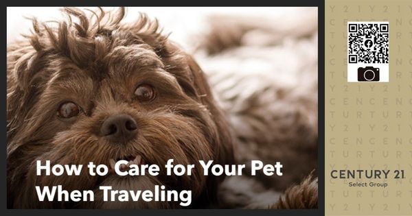 How%20to%20Care%20for%20Your%20Pet%20When%20Traveling.jpg
