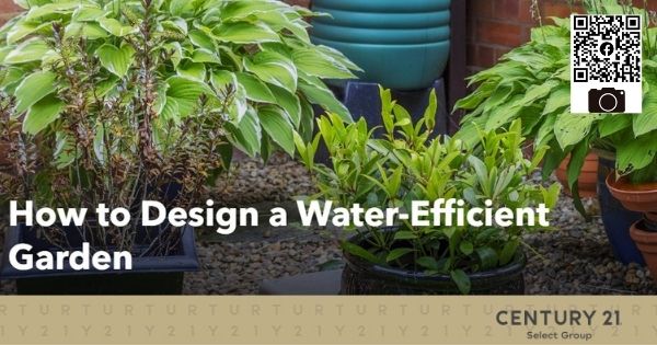 How to Design a Water-Efficient Garden
