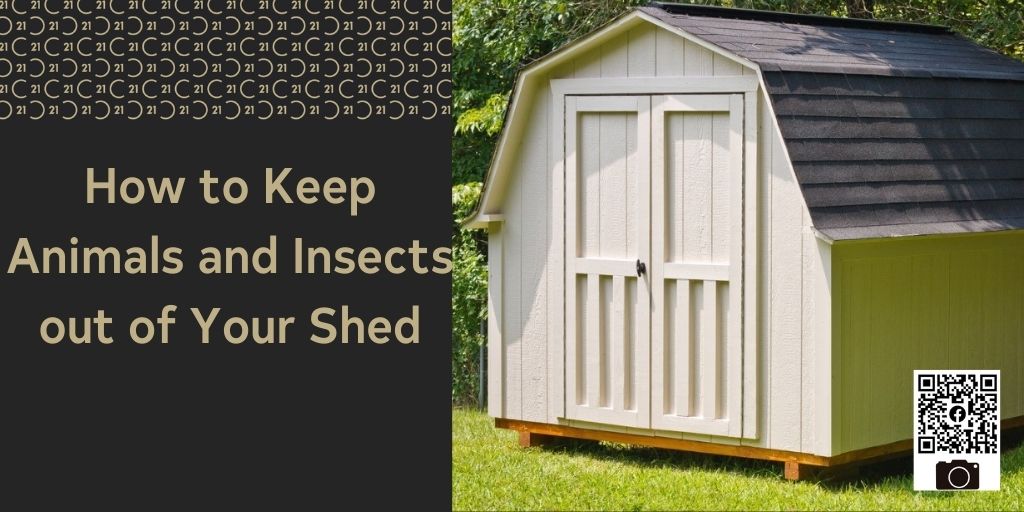 How to Keep Animals and Insects Out of Your Shed
