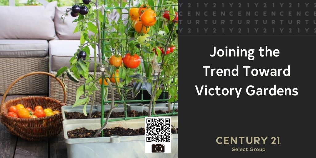 Joining the Trend Toward Victory Gardens