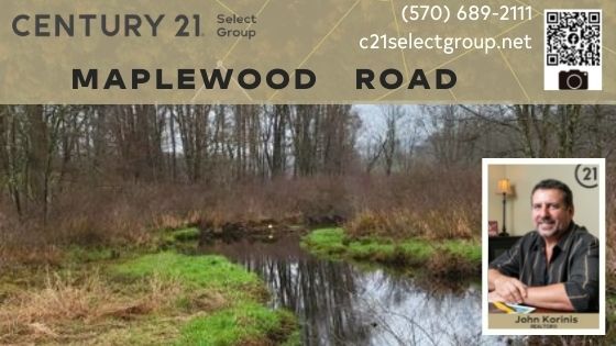Maplewood Road: 13 Acres of Lake Ariel Property