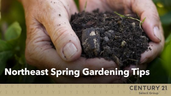 Northeast Spring Gardening Tips