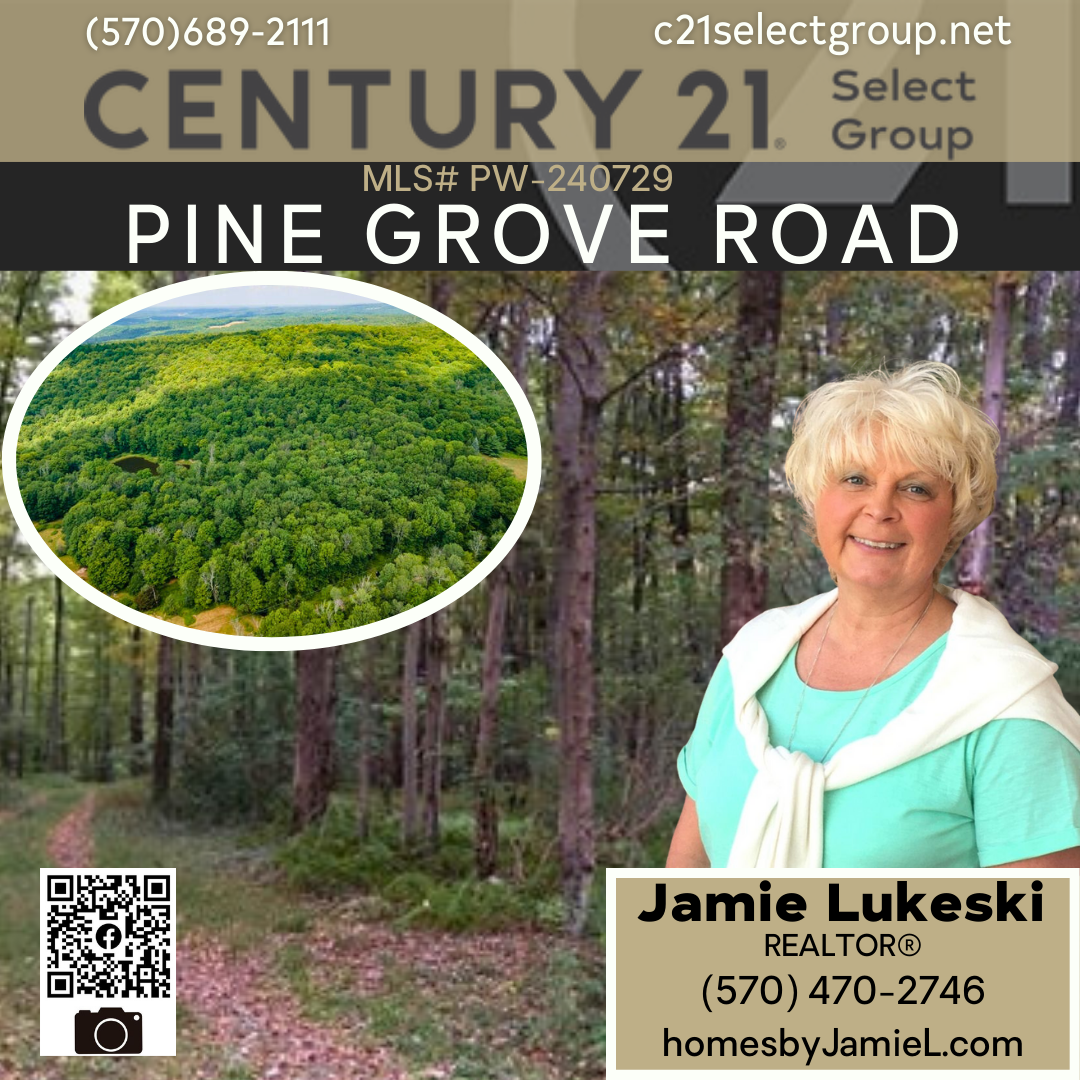 Pine Grove Road: 42 Acres in Newfoundland