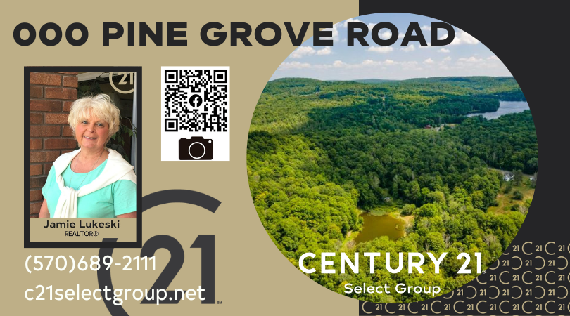 000 Pine Grove Road: 4+ Wooded Acres with Perc