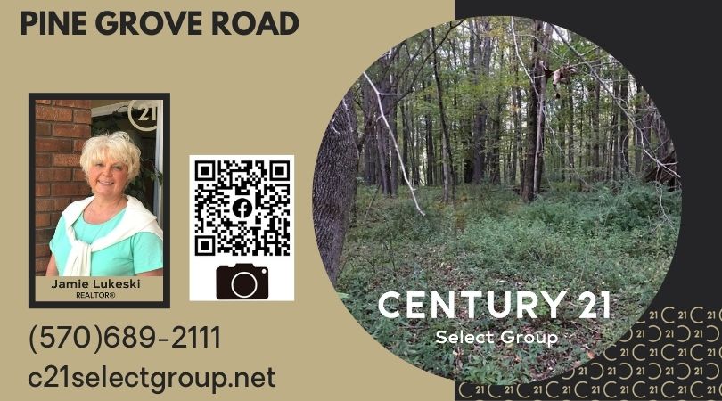 Pine Grove Road: 4.2 Acre Vacant Building Lot in Newfoundland
