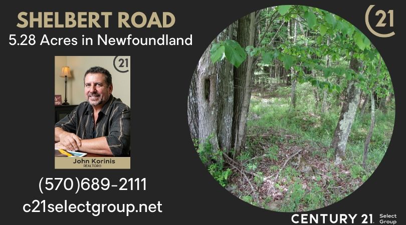 Shelbert Road: 5.28 Acre Building Lot in Newfoundland