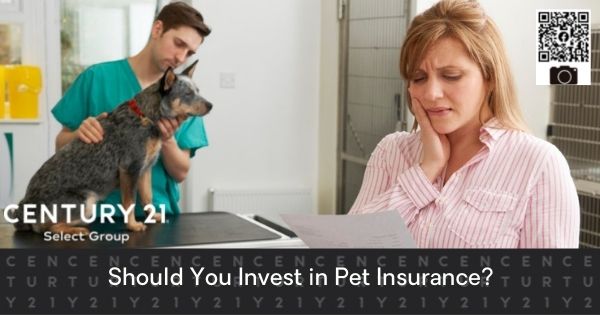 Should%20You%20Invest%20in%20Pet%20Insurance.jpg
