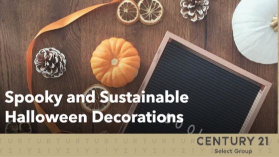 Spooky and Sustainable Halloween Decorations