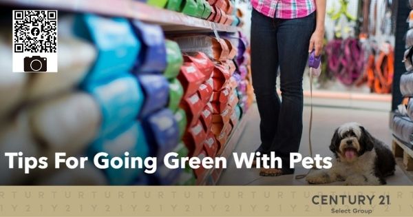 Tips for Going Green with Pets