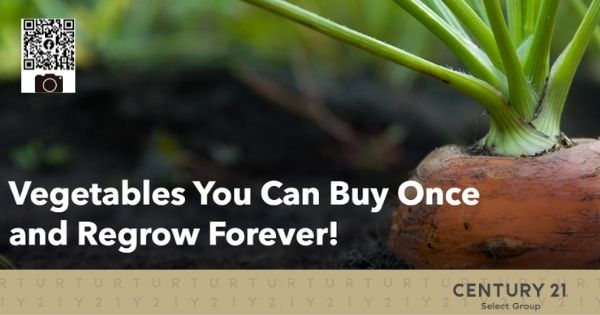 Vegetables You Can Buy Once and Regrow Forever!