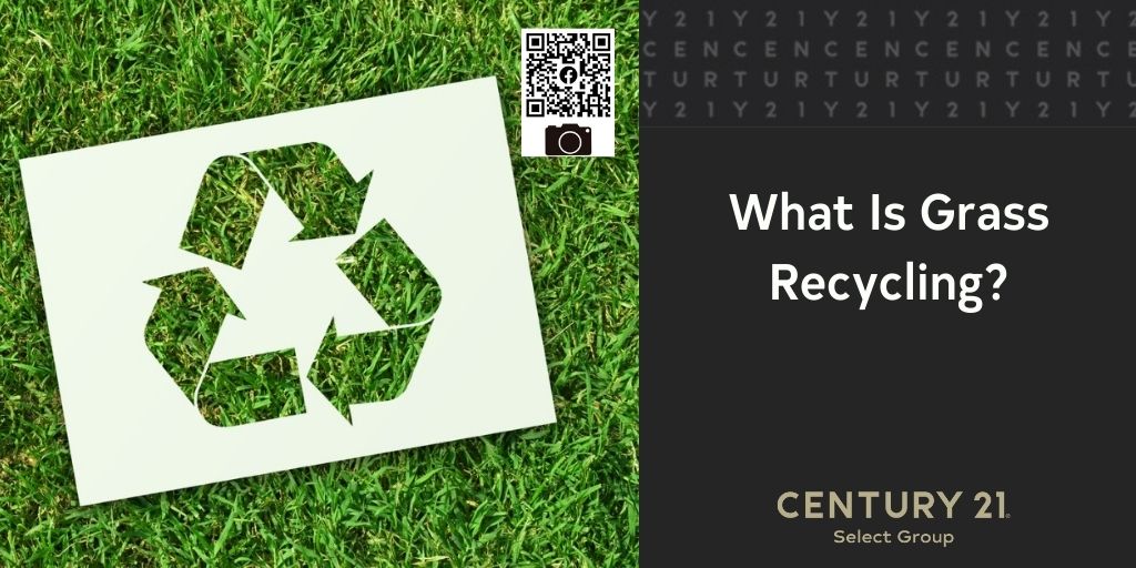 What Is Grass Recycling?
