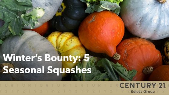 Winter’s Bounty: 5 Seasonal Squashes