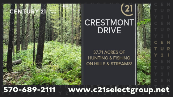 Crestmont Drive: 37.71 Acres of Hunting & Fishing on Hills & Streams