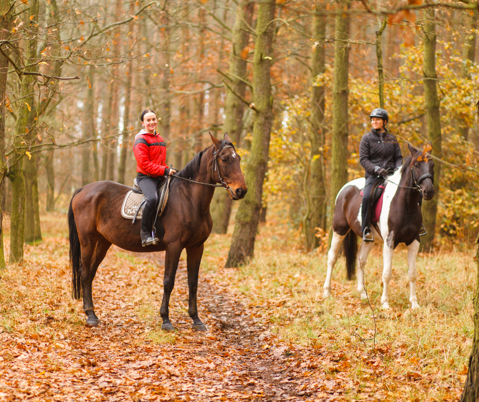 "Riding with Confidence: Essential Horseback Riding Safety Tips for Trail Enthusiasts"
