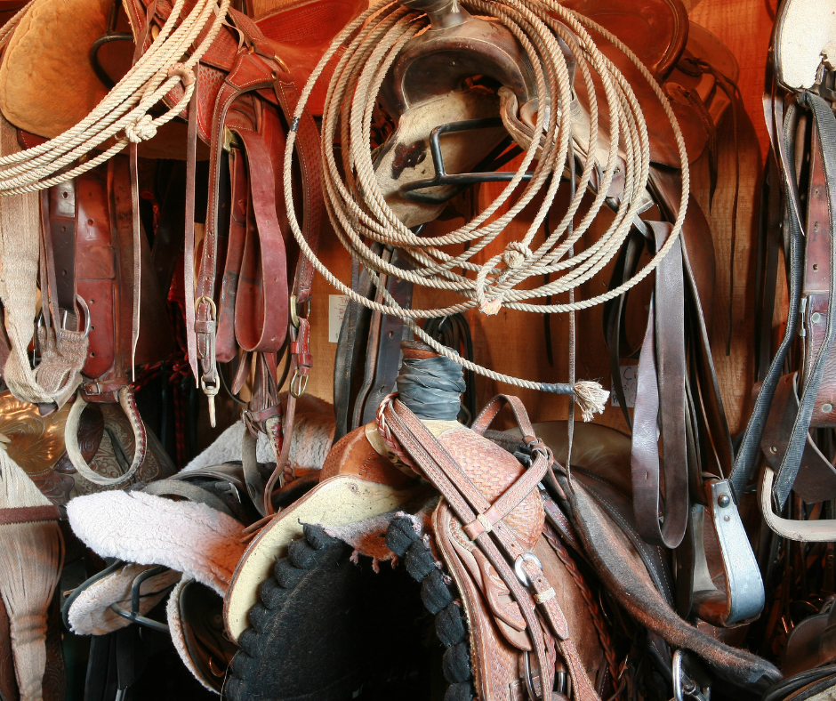 The Vital Role of Proper Tack and Equipment in Horseback Riding