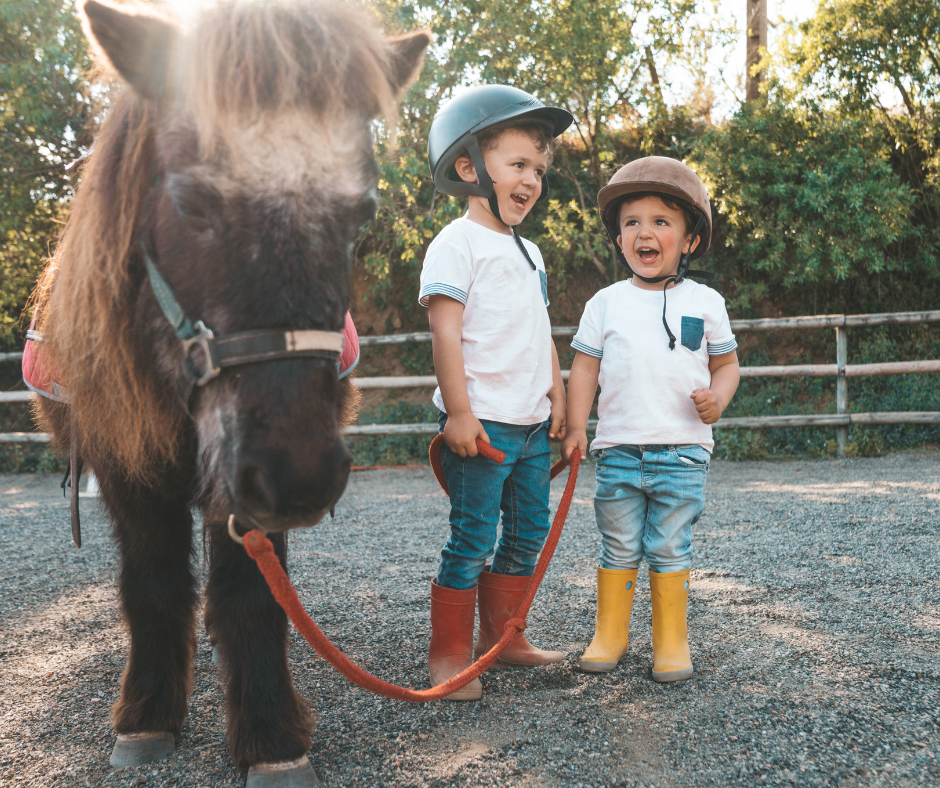 Horseback Riding for Kids: Teaching Your Children to Ride Safely and Confidently