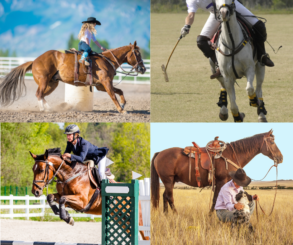 Unveiling the Equestrian World: Explore Different Styles of Riding to Find Your Perfect Fit