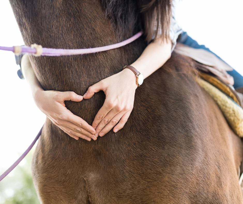 Horseback Riding: Healing Power for Anxiety & Depression