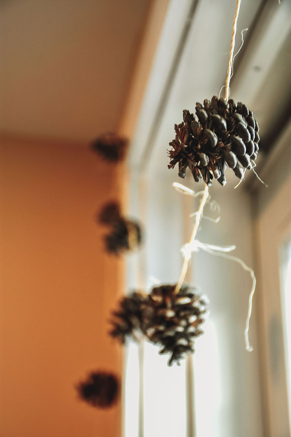 pinecones tied with twine