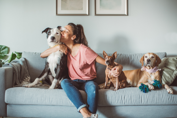 keep your pets safe and happy during your upcoming move